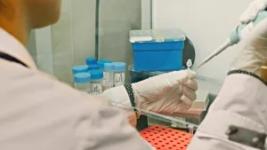 Investigadores Conicet