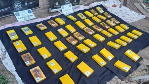 Ahora procesan por lavado a Ariel Suppa y sus doce apóstoles, ya encausados por traer cocaína de Bolivia y menudearla