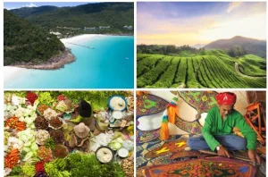 Malasia sin filtros: un viaje por la costa este entre cultura, mar y naturaleza