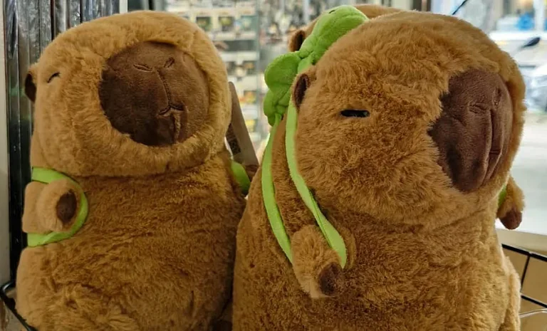 Capibaras merqueros: detuvieron a una mujer que transportaba 4 kilos de cocaína y 50 de marihuana en peluches