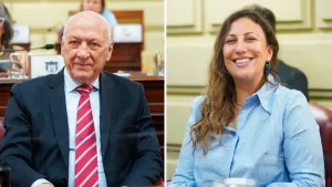 drisun bonfatti
