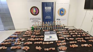 Incautaron 52 kilos de drogas sintéticas escondidas en un auto: hay tres detenidos