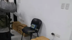 Secuestraron casi una tonelada de marihuana oculta en un campo del norte santafesino