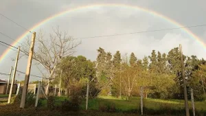 Ciudad de Gálvez: un espacio protegido en disputa y el reclamo vecinal para preservar el ambiente