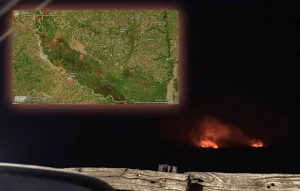 Volvió el fuego en la zona de islas frente a Rosario: 1500 hectáreas incendiadas en los últimos días desde San Lorenzo a Ramallo