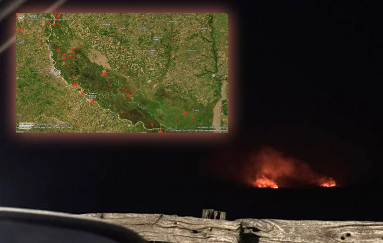 Volvió el fuego en la zona de islas frente a Rosario: 1500 hectáreas incendiadas en los últimos días desde San Lorenzo a Ramallo