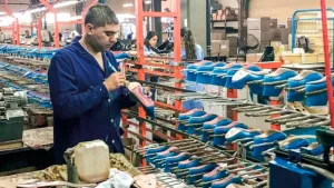 Crisis en la industria del calzado: la producción cayó 26,5% y se perdieron más de 9.000 empleos