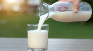 Día Mundial de la Leche Escolar: por qué se conmemora este miércoles