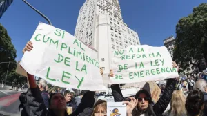 ¿Cuáles son los artículos de la ley de emergencia en Discapacidad que el Presupuesto deroga?