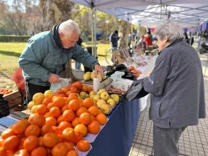 Llega una jornada especial de canje al Mercado Arriba Rosario