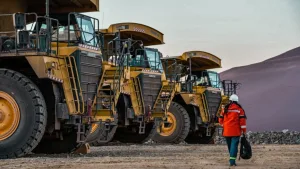 Ni siquiera los ganadores del modelo económico de Milei generan empleo: agro y minería perdieron 3.500 puestos en un año