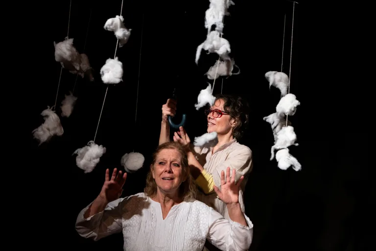La magia del teatro de formas animadas desembarca en La Manzana con “Nidos de agua”