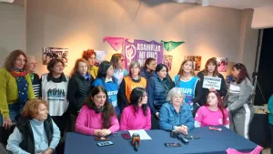 Organizaciones feministas exigen la declaración de la ley de Emergencia en Violencia de Género
