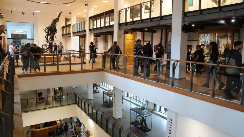 Reapertura del Museo Gallardo