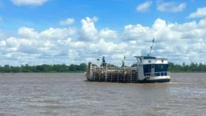 Súper Niño: ya se evacuó más del 70 % de la hacienda en islas
