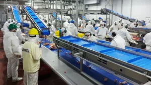 El frigorífico de cerdos Tutto Porkys