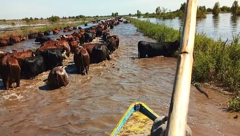 Zona rural inundada por la crecida del Paraná