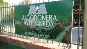 Otra de Vicentin: decretan quiebra de Algodonera Avellaneda, pero con continuidad laboral
