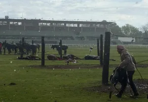 Un rayo mató a cuatro caballos de polo durante una práctica en el Jockey Club y dejó herido a un cuidador