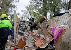 Un árbol destruyó una casa en barrio Banana: vecinos rescataron a una madre y sus tres hijos
