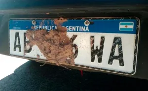 El Concejo endureció sanciones para adulteradores chapas-patente