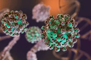 Hantavirus: se notificaron 112 casos confirmados