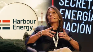El mismo Estado denunció a la secretaria de Energía beneficiar con el RIGI a la petrolera Harbour, que operó en Malvinas