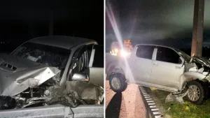 No fue tragedia de milagro: pick up chocó un caballo en autopista Rosario-Santa Fe