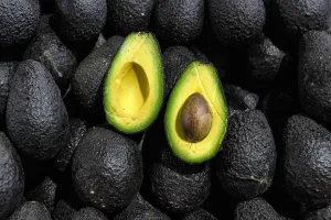 Un bebé de apenas 12 días murió luego de que una palta cayera sobre su cabeza