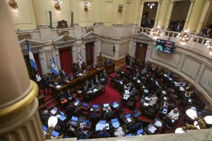El Senado dio media sanción a la reforma de la ley de Salud Mental que permite internaciones involuntarias