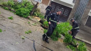 Temporal en Rosario: granizo, fuertes ráfagas, calles anegadas y árboles caídos