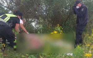 Un hombre de 70 años murió ahogado en Santa Fe cuando sacaba ganado de una zona inundada por la crecida del Paraná