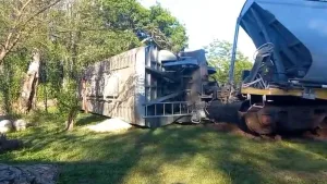 Un tren del Belgrano Cargas descarriló en Santa Fe