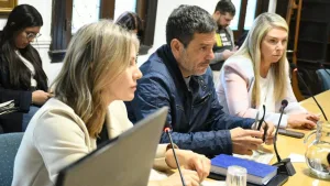 Concejo Municipal: comenzó el análisis del proyecto enviado por el Ejecutivo para regularizar Uber y DiDi