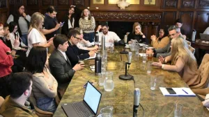 Hay al menos 1395 cuidacoches en la ciudad, y el Concejo analiza la implementación de la ley